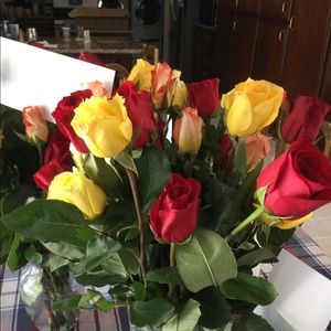 Meet your Posher, Steven